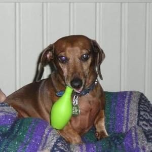 Meet your Posher, Ann